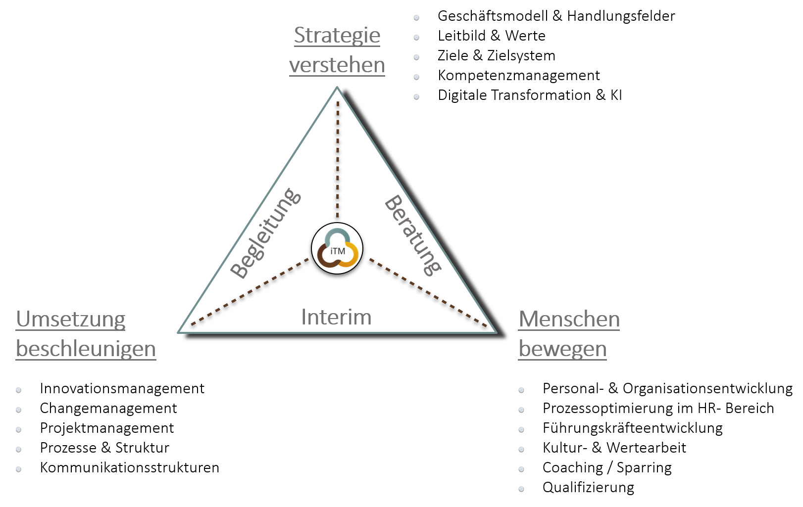 Ein Diagramm veranschaulicht das Transformationsmanagement des Instituts mit den Schwerpunkten Begleitung, Beratung und Interim.
